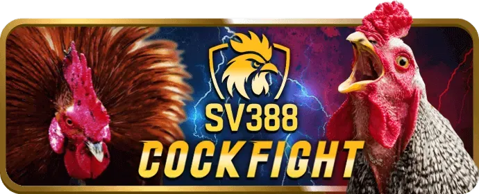 Biểu đồ giải thích các loại cookie khác nhau mà King888 Slot sử dụng